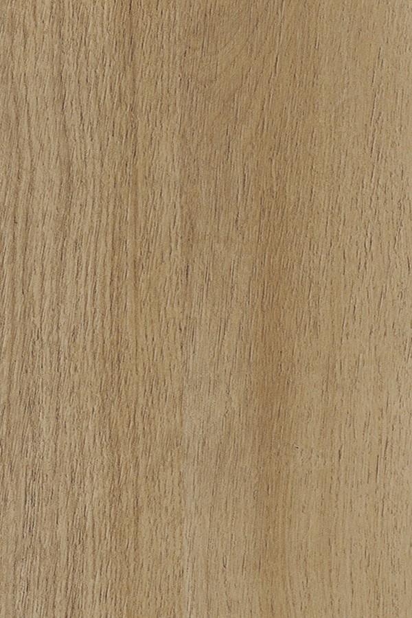 14556 (SAT) – SATIN