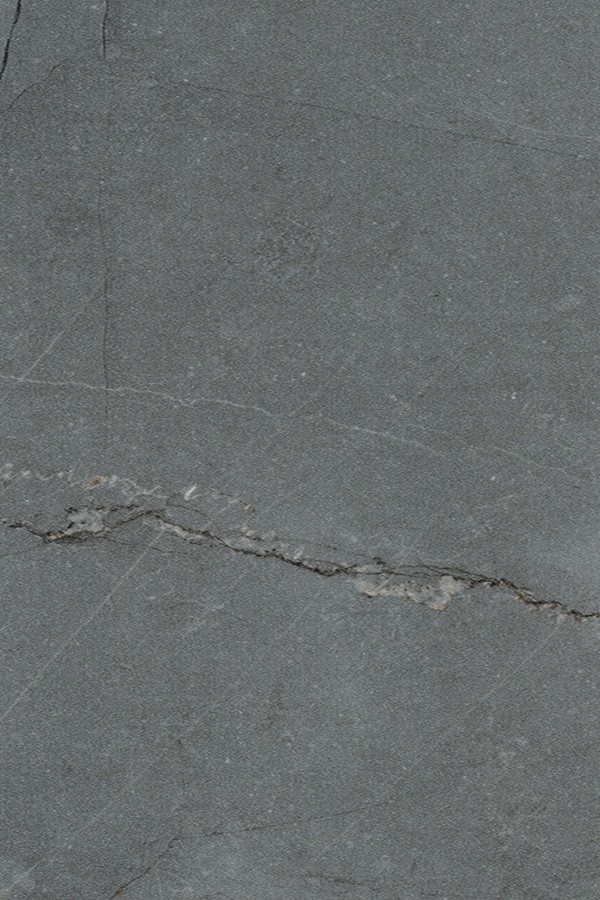 14561 (HGLS) - HIGH GLOSS