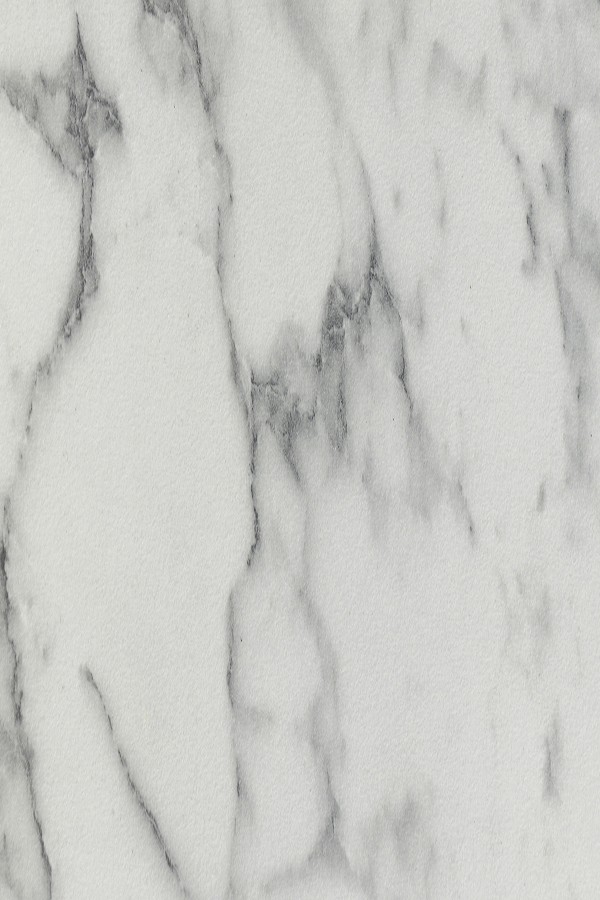 4501 (SF) - SUEDE FINISH