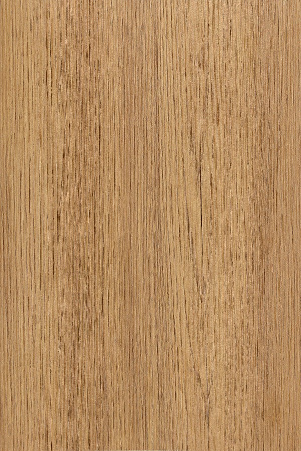 4533 (SO) – SQUASH OAK