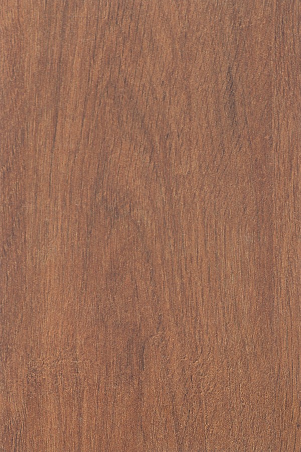 4569 (SF) -SUEDE FINISH