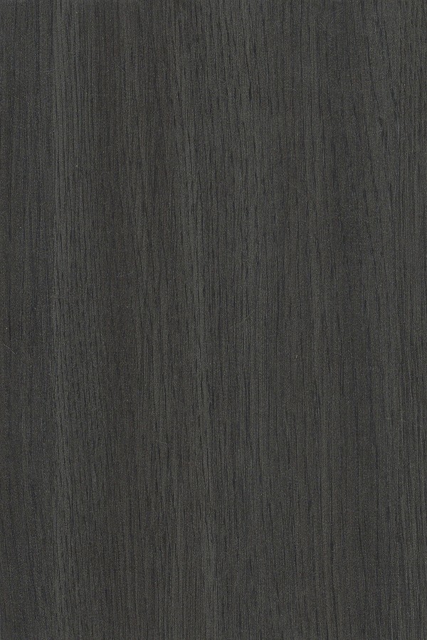 4579 (SO) – SQUASH OAK