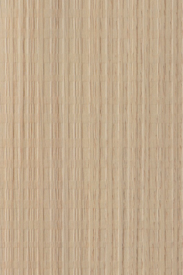 4600-foa-pg-no-3817591249612727