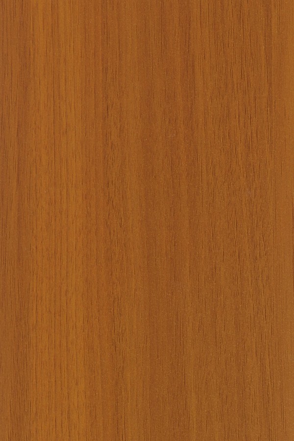 4619 (HGLS) HIGH GLOSS